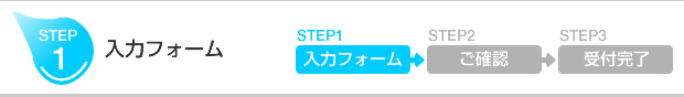 入力フォーム